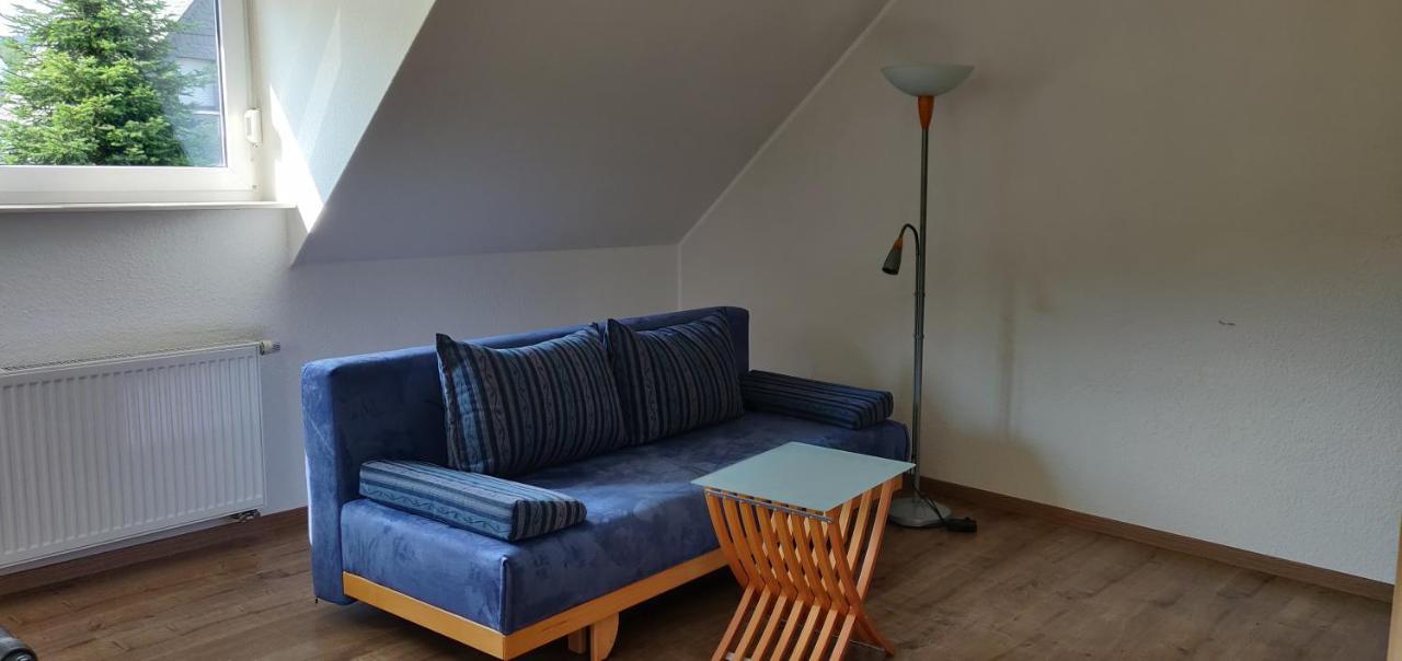 Ferienhaus Schulte - Villa Jupp Und Apartment Liesl Olsberg Dış mekan fotoğraf